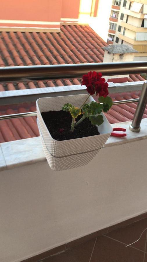 Rooftop Apartament Alexandria فلورا المظهر الخارجي الصورة